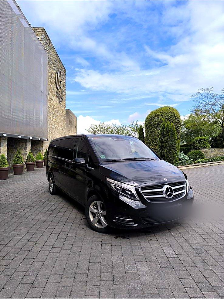 Minivan Business de Delcar Services Navarra